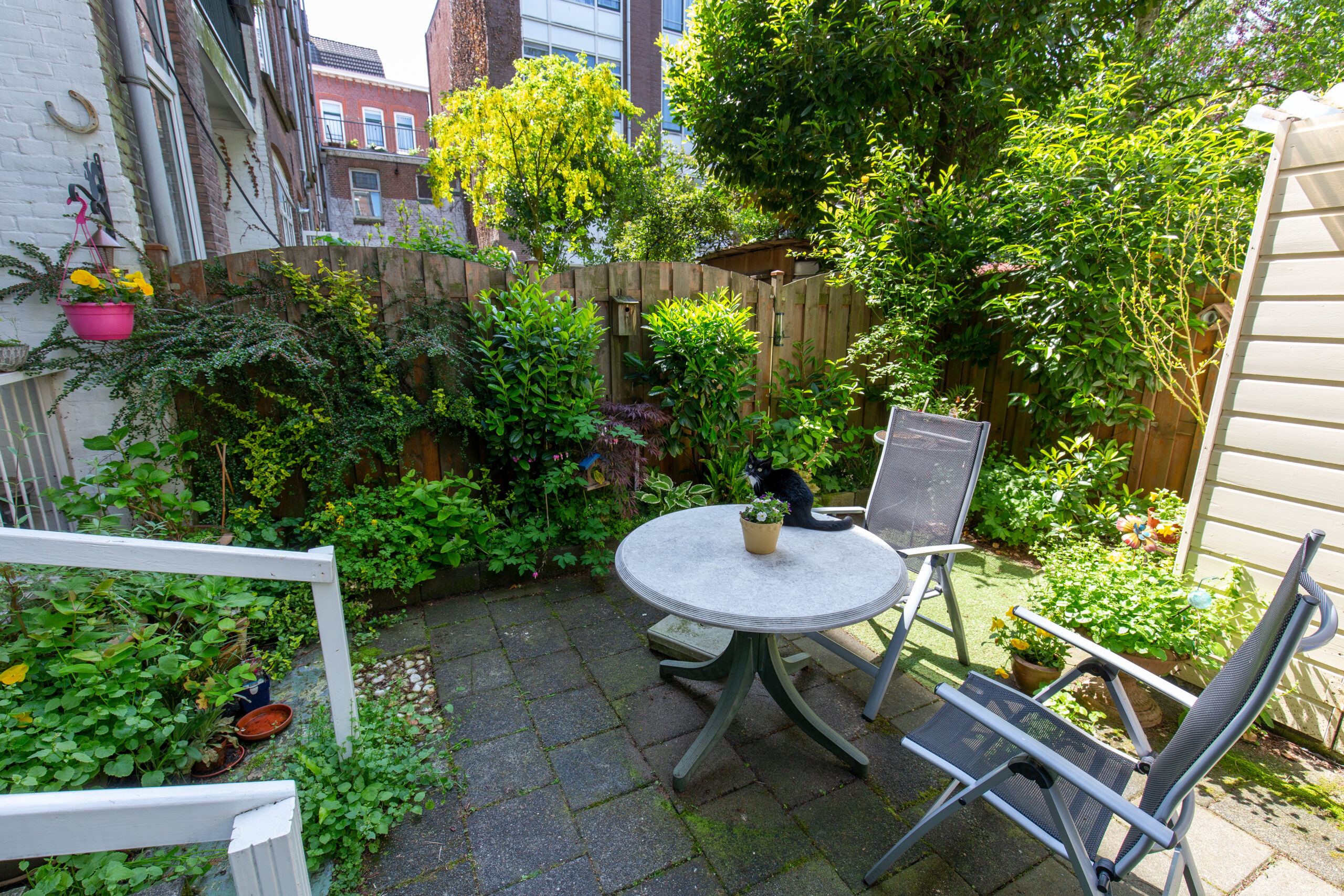 BACK GARDEN