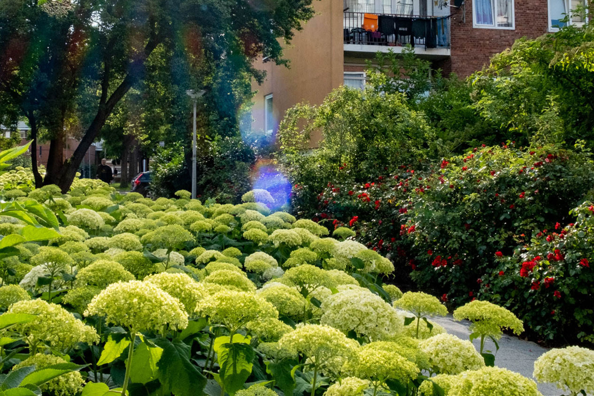 Inner garden