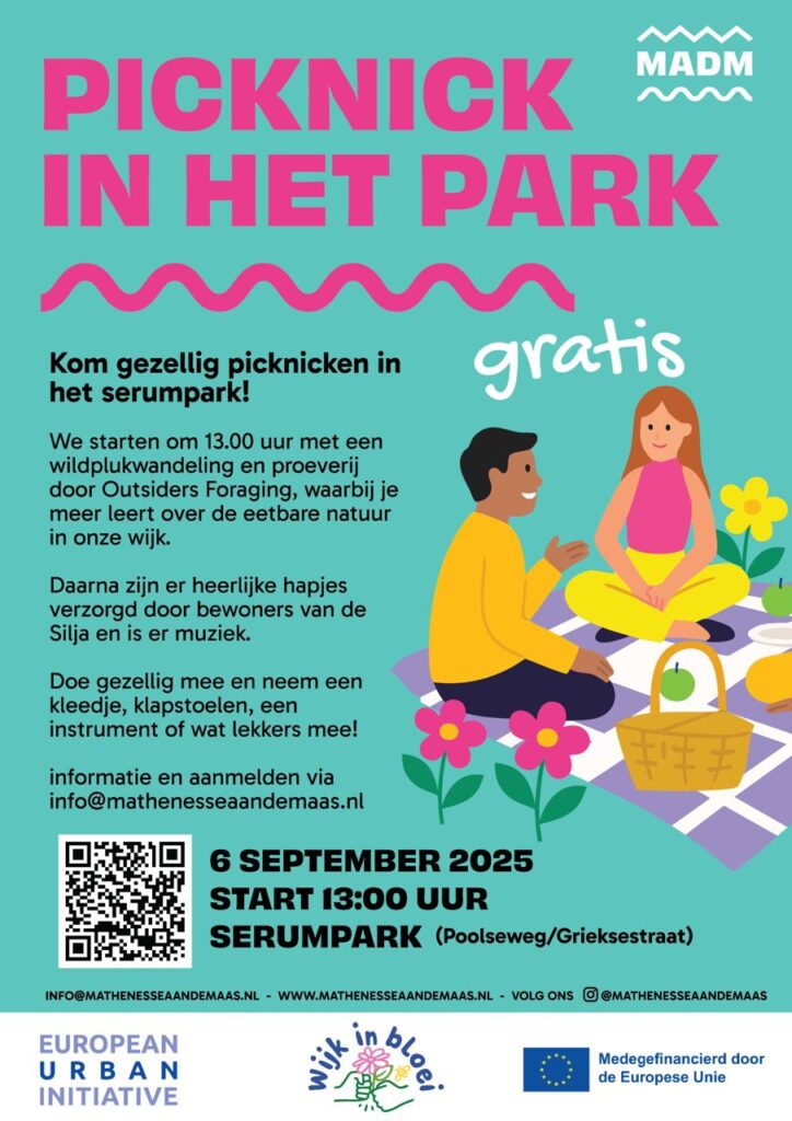 Picknick in het park poster
